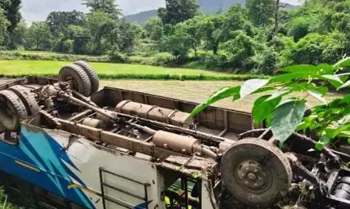 रायगढ़ में बस हादसे का शिकार, 15 यात्री घायल