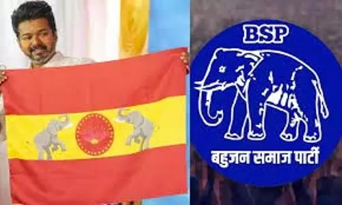 बसपा ने टीवीके के झंडे पर हाथी के चिन्ह को लेकर याचिका वापस ली