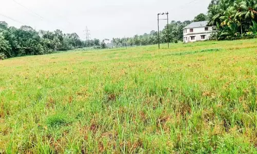 सप्लाईको भुगतान नहीं कर रहा; धान किसानों ने खेती छोड़ दी