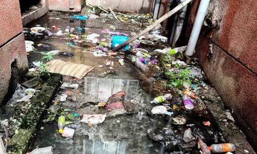 डेंगू का कहर जारी, Jalandhar सिविल अस्पताल परिसर में मच्छरों की भरमार