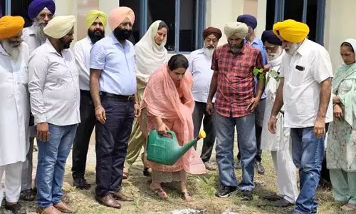 Ludhiana: रामपुर गांव में 500 पौधे लगाए गए Ludhiana: रामपुर गांव में 500 पौधे लगाए गए
