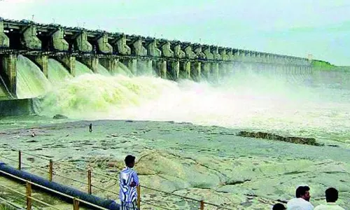 तेलंगाना में खरीफ फसलों के लिए लगभग 259 TMC फीट पानी की आवश्यकता