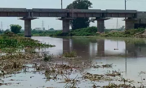 Chandigarh: सरहिंद चोई और नालों की सफाई में देरी से लोग परेशान