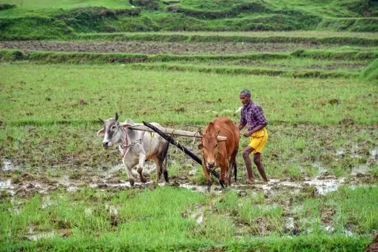Kerala समेत कई राज्यों ने समय सीमा बढ़ाने का किया आग्रह