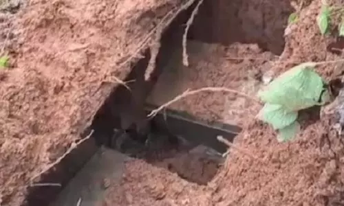 Odisha : सीमा के सारंडा जंगलों में माओवादी बंकर जब्त, विस्फोटक बरामद Odisha : सीमा के सारंडा जंगलों में माओवादी बंकर जब्त, विस्फोटक बरामद