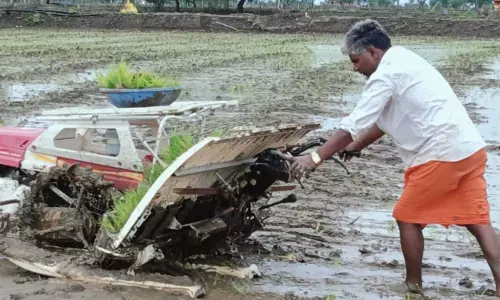 नवागढ़ के किसान संतोष साहू बने प्रेरणा स्रोत नवागढ़ के किसान संतोष साहू बने प्रेरणा स्रोत