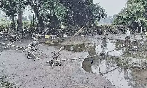 Jharsuguda : पर्यावरणीय खतरा, विधायक ने ठेकेदार को जिम्मेदार ठहराया Jharsuguda : पर्यावरणीय खतरा, विधायक ने ठेकेदार को जिम्मेदार ठहराया