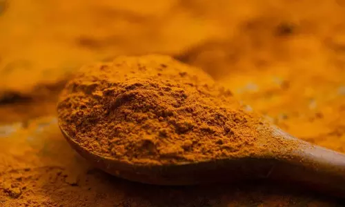ज़्यादा लहसुन खाने से लीवर को नुकसान हो सकता है! जानें कैसे ज़्यादा लहसुन खाने से लीवर को नुकसान हो सकता है! जानें कैसे