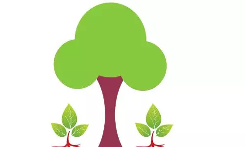 अगला वन महोत्सव कब है? अगला वन महोत्सव कब है?