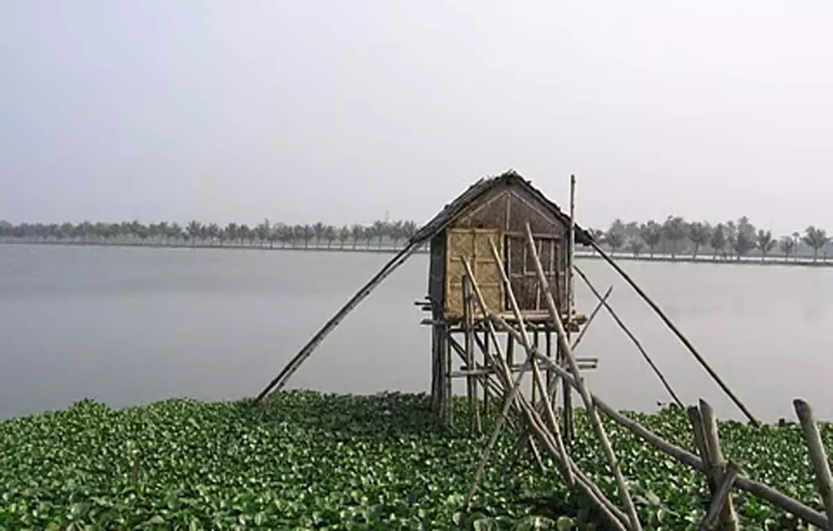 कोलकाता डायरी: नगर निगम शहर के आर्द्रभूमि क्षेत्र में पर्यटन केंद्र बनाने पर कर रहा है विचार कोलकाता डायरी: नगर निगम शहर के आर्द्रभूमि क्षेत्र में पर्यटन केंद्र बनाने पर कर रहा है विचार
