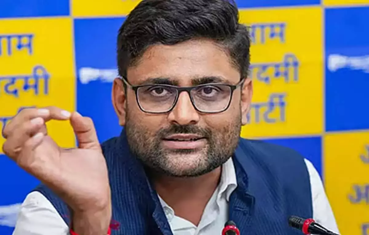 गुजरात में भाजपा के गढ़ को चुनौती देती AAP, पटेलों का दबदबा गुजरात में भाजपा के गढ़ को चुनौती देती AAP, पटेलों का दबदबा