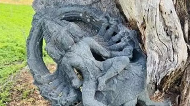 Shoolagiri : 1,000 वर्ष पुरानी मुरुगन पत्थर की मूर्ति मिली Shoolagiri : 1,000 वर्ष पुरानी मुरुगन पत्थर की मूर्ति मिली