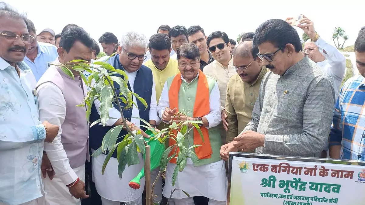 Indore : रेवती रेंज में 51 हजार से अधिक पौधे लगाए गए Indore : रेवती रेंज में 51 हजार से अधिक पौधे लगाए गए