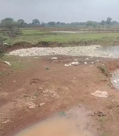 खरोरा मशरूम फैक्ट्री के प्रबंधक गांवों में फैला रहे बीमारी, वेस्ट को कहीं भी लगा रहे ठीकाने खरोरा मशरूम फैक्ट्री के प्रबंधक गांवों में फैला रहे बीमारी, वेस्ट को कहीं भी लगा रहे ठीकाने