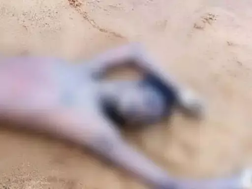 बहकर आई लाश, रायगढ़ में सनसनी बहकर आई लाश, रायगढ़ में सनसनी
