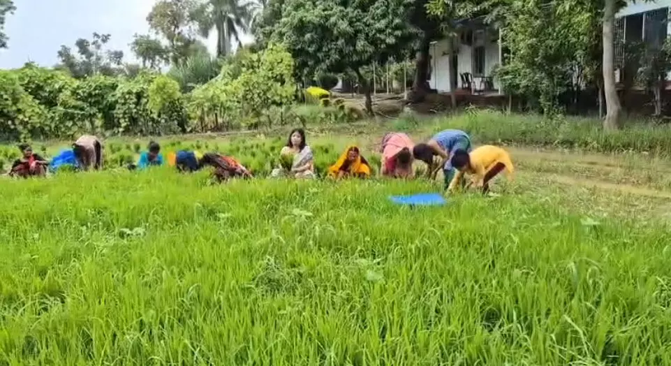 मंत्री की पत्नी ने खेत में निंदाई की, वीडियो वायरल मंत्री की पत्नी ने खेत में निंदाई की, वीडियो वायरल