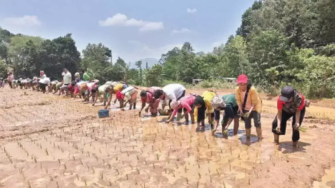 Meghalaya की महिला किसानों के लिए पडेरू में प्राकृतिक खेती पर प्रशिक्षण Meghalaya की महिला किसानों के लिए पडेरू में प्राकृतिक खेती पर प्रशिक्षण
