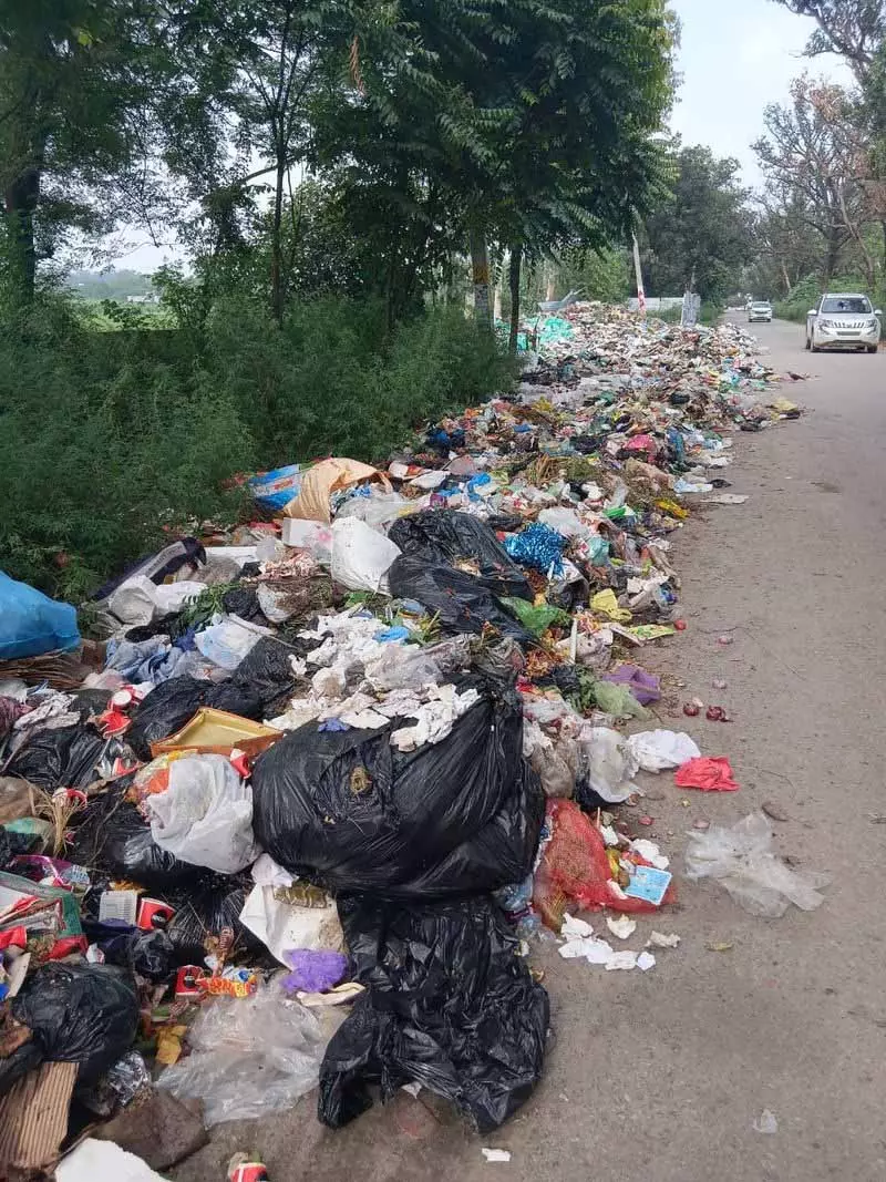 Gurdaspur में कूड़े के ढेर लगने से महामारी का डर मंडराने लगा Gurdaspur में कूड़े के ढेर लगने से महामारी का डर मंडराने लगा