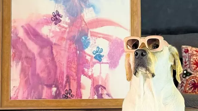 भौं-भौं से ब्रश तक: जब डॉग डाली बनी Dog Watercolor Painter भौं-भौं से ब्रश तक: जब डॉग डाली बनी Dog Watercolor Painter