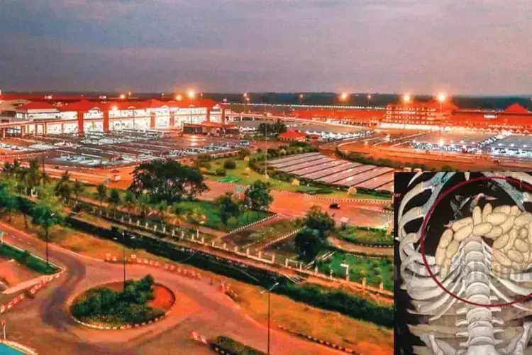 Kerala : ब्राज़ीलियाई दंपत्ति ने कोकीन की तस्करी के लिए 50 कैप्सूल निगले Kerala : ब्राज़ीलियाई दंपत्ति ने कोकीन की तस्करी के लिए 50 कैप्सूल निगले