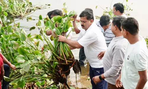 गृहमंत्री विजय शर्मा ने तालाब में स्वच्छता अभियान चलाया