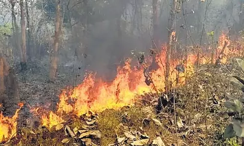 Odisha: संकीर्तन ने जंगलों को आग से बचाने का रास्ता दिखाया Odisha: संकीर्तन ने जंगलों को आग से बचाने का रास्ता दिखाया