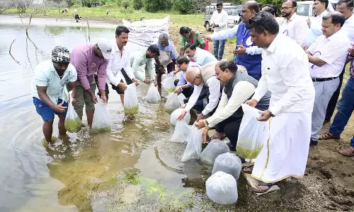 मछली पालन; समस्या पर चर्चा करें और समाधान खोजें: जलीय कृषि विशेषज्ञ