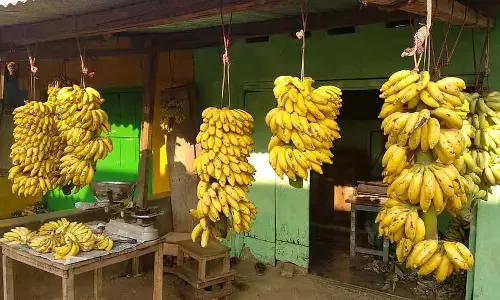 Tumkur : केले महंगे हैं, किशमिश के दाम आसमान छू रहे हैं