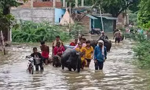 Panna: भारी बारिश से पन्ना में हालात खराब, मासूम की गई जान