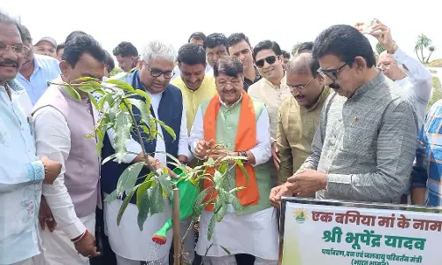 Indore : रेवती रेंज में 51 हजार से अधिक पौधे लगाए गए Indore : रेवती रेंज में 51 हजार से अधिक पौधे लगाए गए