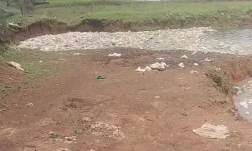 खरोरा मशरूम फैक्ट्री के प्रबंधक गांवों में फैला रहे बीमारी, वेस्ट को कहीं भी लगा रहे ठीकाने