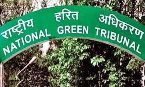 वन भूमि पर स्कूल निर्माण की एनजीटी जांच underway