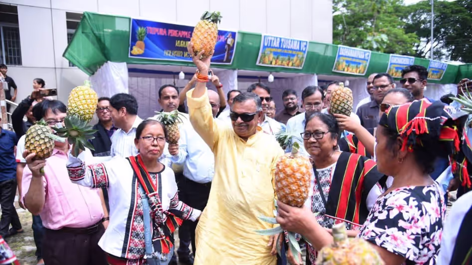 Tripura  ने खाड़ी देशों को 73 मीट्रिक टन अनानास का निर्यात किया
