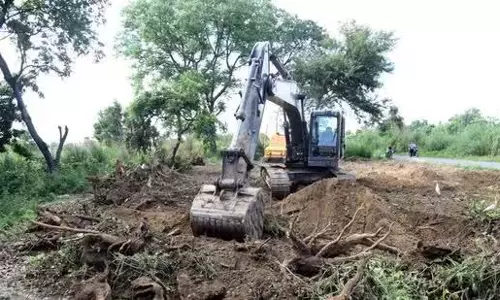 ऊपरी गंगा रोड, पेड़ों की कटाई पर रिपोर्ट को यूपी सरकार ने खारिज किया
