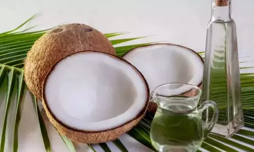 Kerala : नारियल और नारियल तेल की कीमतों में गिरावट का कोई संकेत नही Kerala : नारियल और नारियल तेल की कीमतों में गिरावट का कोई संकेत नही