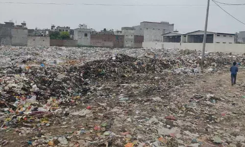 मंडी बोर्ड के DGM को 2 सप्ताह में व्यक्तिगत हलफनामा दाखिल करने का निर्देश दिया मंडी बोर्ड के DGM को 2 सप्ताह में व्यक्तिगत हलफनामा दाखिल करने का निर्देश दिया