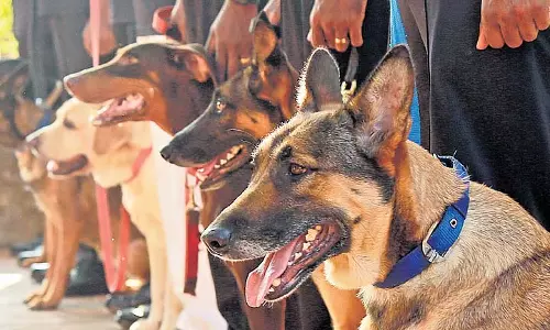 Kerala पुलिस 38 अतिरिक्त सदस्यों के साथ K9 दस्ते का विस्तार करने की योजना