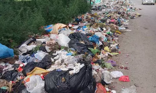 Gurdaspur में कूड़े के ढेर लगने से महामारी का डर मंडराने लगा