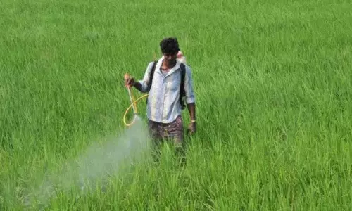 Karimnagar में निजी व्यापारी ऊंची कीमतों पर यूरिया बेच रहे