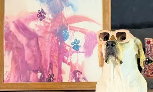 भौं-भौं से ब्रश तक: जब डॉग डाली बनी Dog Watercolor Painter