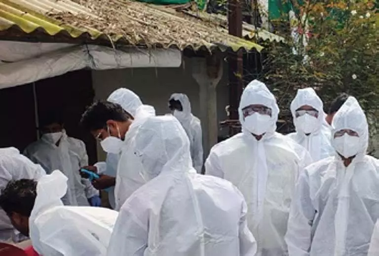 बर्ड फ्लू प्रभावित पुरी में मंत्री का दौरा, 6,756 मुर्गियां मारी गईं बर्ड फ्लू प्रभावित पुरी में मंत्री का दौरा, 6,756 मुर्गियां मारी गईं