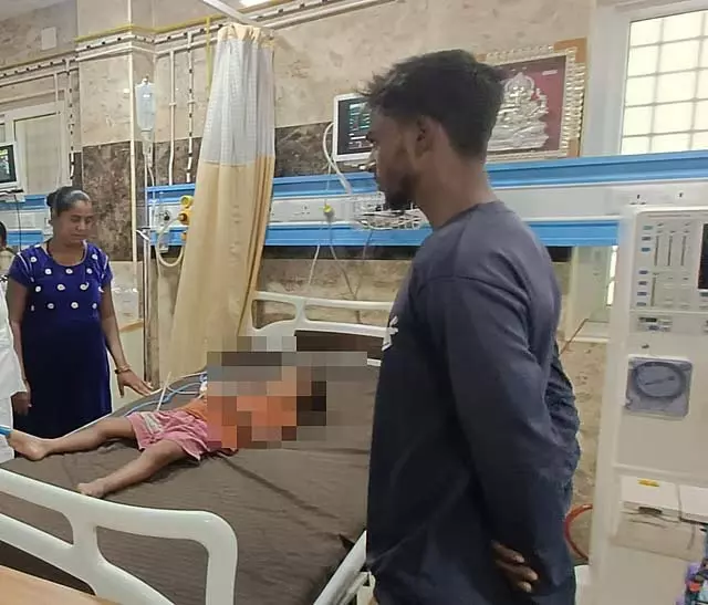 कृष्णागिरी के पास जहरीला फल खाने से 5 बच्चे अस्पताल में भर्ती कृष्णागिरी के पास जहरीला फल खाने से 5 बच्चे अस्पताल में भर्ती