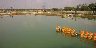 Churu जिले में पीएमजीएसवाई के तहत खारा पानी एक्वाकल्चर कलस्टर विकास के होंगे कार्य Churu जिले में पीएमजीएसवाई के तहत खारा पानी एक्वाकल्चर कलस्टर विकास के होंगे कार्य