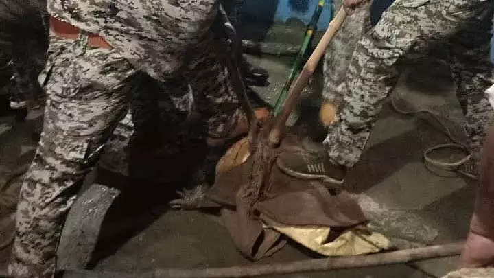 अशोकनगर के रिहायशी इलाके में घुसा 6 फीट लंबा मगरमच्छ, 2 घंटे के ऑपरेशन के बाद बचाया गया अशोकनगर के रिहायशी इलाके में घुसा 6 फीट लंबा मगरमच्छ, 2 घंटे के ऑपरेशन के बाद बचाया गया