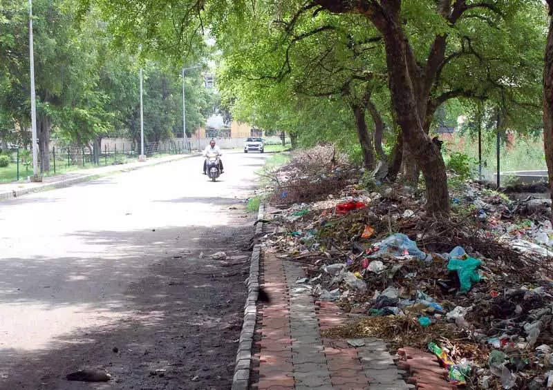 MC सरकारी विभागों, निजी संस्थानों के खिलाफ कार्रवाई करेगा MC सरकारी विभागों, निजी संस्थानों के खिलाफ कार्रवाई करेगा