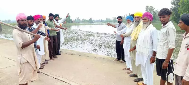 Amritsar: जलभराव से फसलें बर्बाद, किसानों ने नुकसान का आकलन और मुआवजे की मांग की Amritsar: जलभराव से फसलें बर्बाद, किसानों ने नुकसान का आकलन और मुआवजे की मांग की