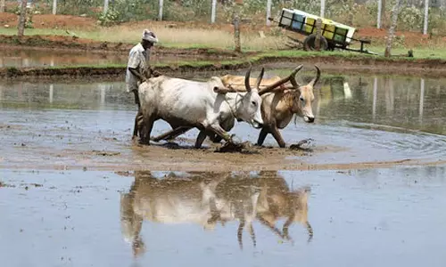 Tamil Nadu : सिंचित कृषि परियोजना की समय सीमा दिसंबर तक बढ़ाई गई