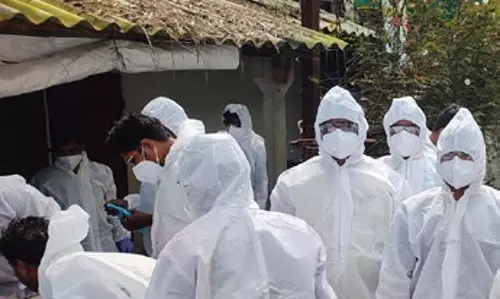 बर्ड फ्लू प्रभावित पुरी में मंत्री का दौरा, 6,756 मुर्गियां मारी गईं