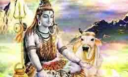 Sawan Somwar 2025: भोलेनाथ से पहले होती है नंदी की पूजा, जानें कहां निभाई जाती है ये अनोखी परंपरा Sawan Somwar 2025: भोलेनाथ से पहले होती है नंदी की पूजा, जानें कहां निभाई जाती है ये अनोखी परंपरा