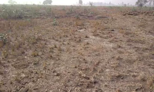 पंजाब सरकार का भूमि पूलिंग नीति में संशोधन, नए नियम लागू पंजाब सरकार का भूमि पूलिंग नीति में संशोधन, नए नियम लागू